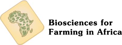 B4FA Logo